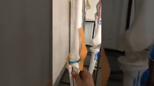 4 November 2023(5) смотреть онлайн