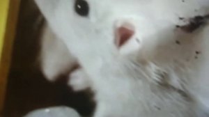 где лучше бояться