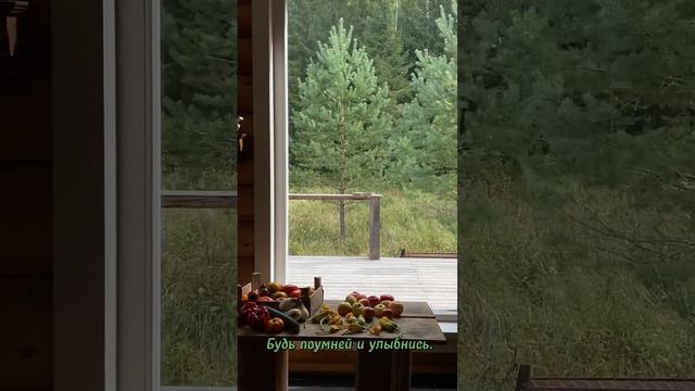 Мудрые Слова| Про жизнь со смыслом