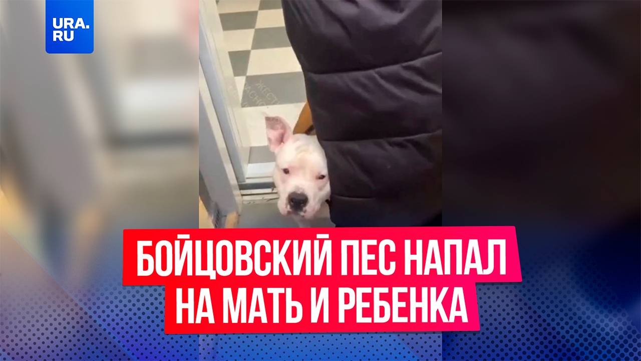 Дама с бойцовским псом отказалась выпускать из лифта мать с ребенком
