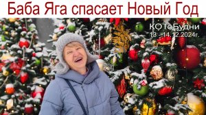 Непростая та старушка, что живет в лесной избушке... или КОТоБудни от 13 - 14.12.2024г.