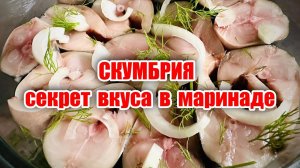 Скумбрия вкуснее ЛОСОСЯ! Секрет вкуса в маринаде! Вкусная скумбрия легко и просто!