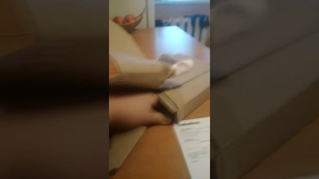 Распаковка книжки Коти Вояки "Прозір" смотреть онлайн