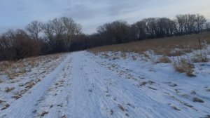 Прогулка по зимнему лесу №3.😊