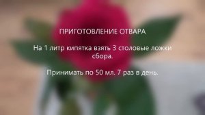 Сбор № 511. ПРИ ВОСПАЛЕНИЯХ ЯИЧНИКОВ И ПРИДАТКОВ.