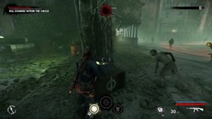 Zombie Army 4: MP44 Weapons Mastery, Plat Weapons Skin