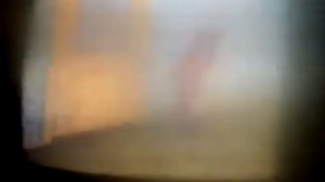 птица пчёла пёс.