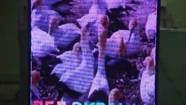 полноцветный лед экран смотреть онлайн