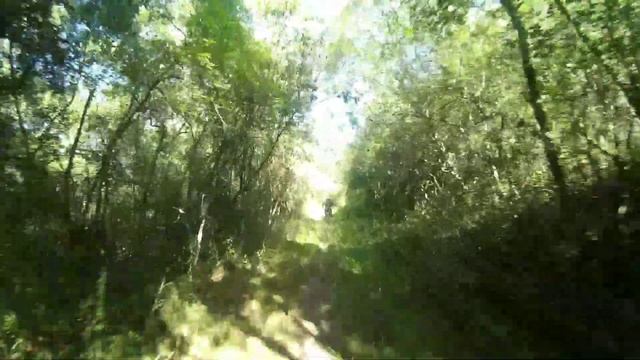 XTZ DE TRILHA MOTOR OHC 200 top смотреть онлайн