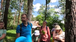 Клопогон вонючий - растение для женщин