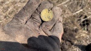 Попалась огромная монета, копаю с Garrett ACE Apex