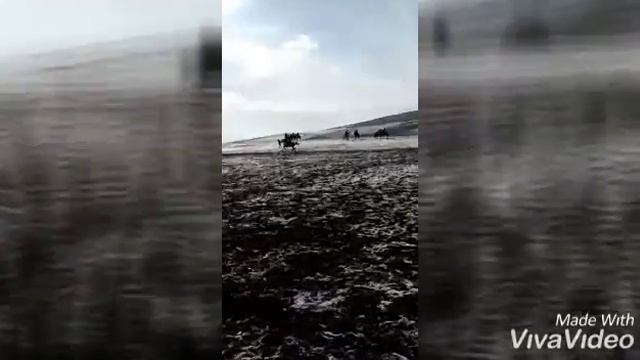 Кок бору Шанкол смотреть онлайн