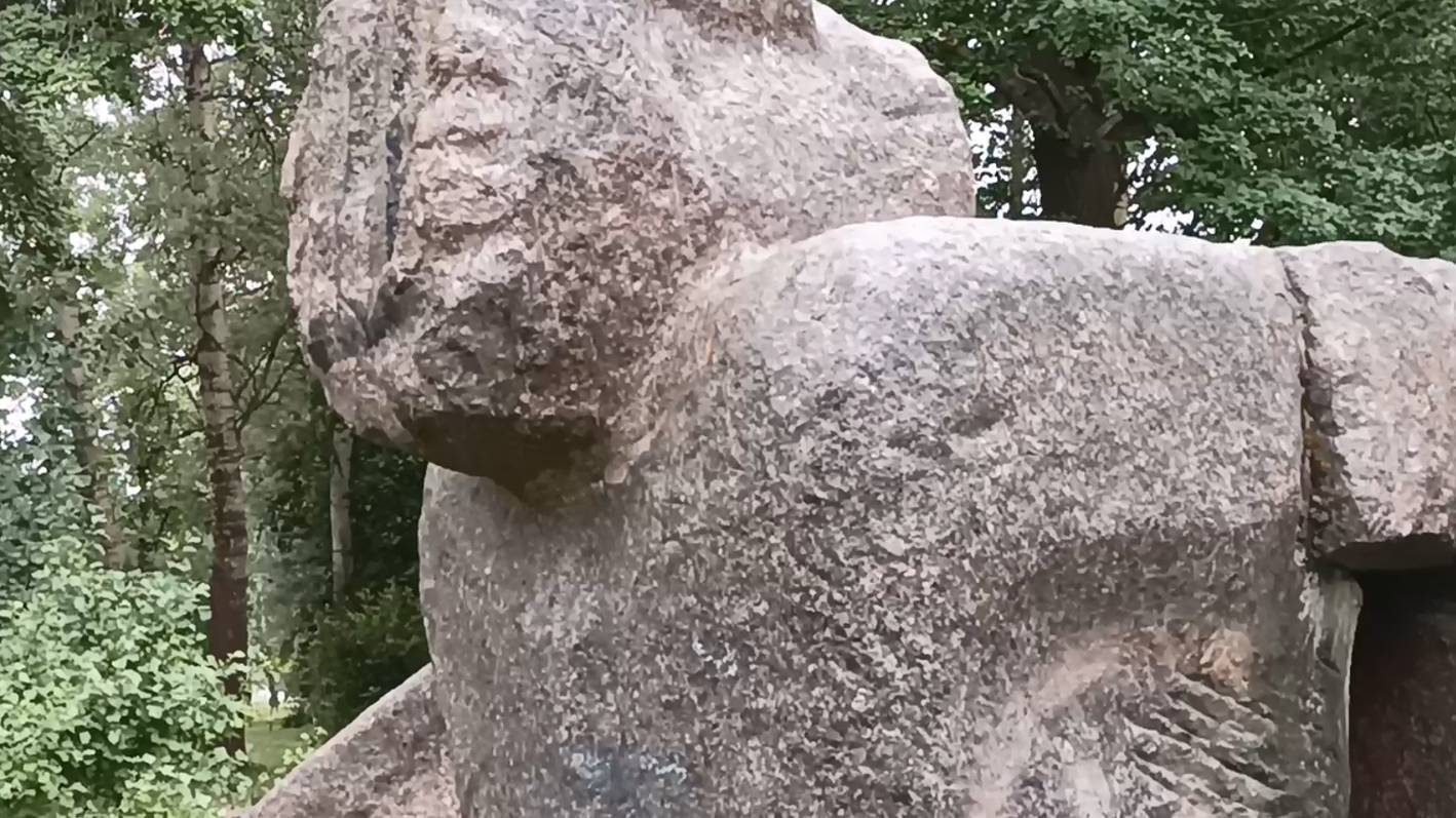 Озерки Вольвариелла шелковистая смотреть онлайн