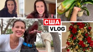 США ВЛОГ Это не повод остаться дома! Так его жалко! Не выдержала! Мой триггер! Большая семья в Сша