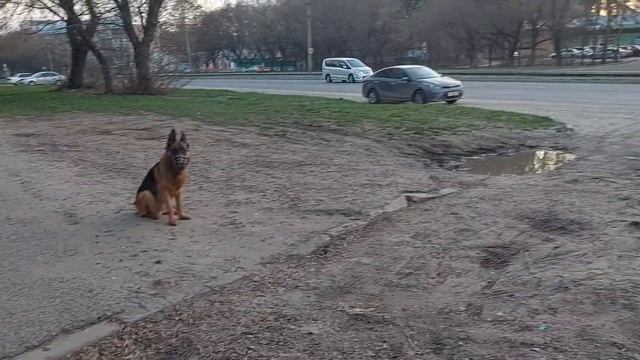 Выполнение команд в свободном положение.
