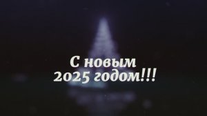 С новым годом 2025!