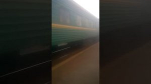 Прибытие поезда на станцию Козятин сообщением Москва-Кишинев.