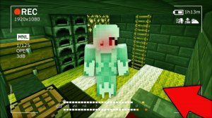 ЧТО ЗАПИСАЛА ЭТА КАМЕРА НАБЛЮДЕНИЯ В МОЁМ ДОМЕ В МАЙНКРАФТ | Риколит Minecraft