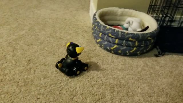 Wowwee CHiP Vs Chippo