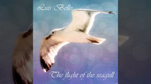 THE FLIGHT OF THE SEAGULL