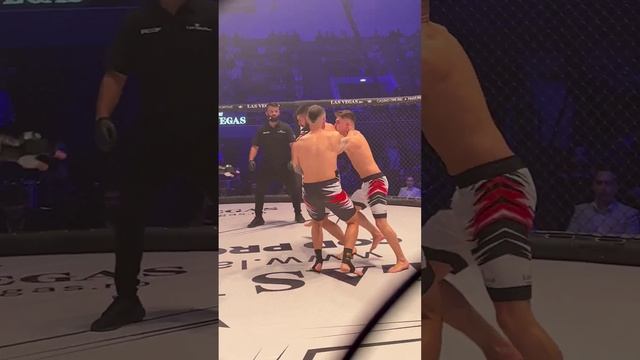 Лучший турнир по боям состоялся на прошедших выходных в Румынии  UFC, мы вас больше не смотрим.