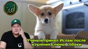 Учёный принял Ислам после изучения слюны собаки
