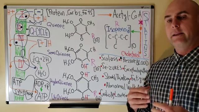 CoQ10: Synthesis, Function, Deficiency, Statins, CoQ6&8, Energy (ATP), Q-Cycle смотреть онлайн