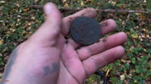 Кто-то растерял монеты в лесу