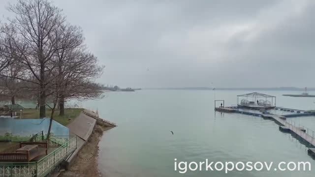 Ташкент #2 Tashkent 02.2023. Ташкентское море. Туябугузское водохранилище. Сазан Ташморский.