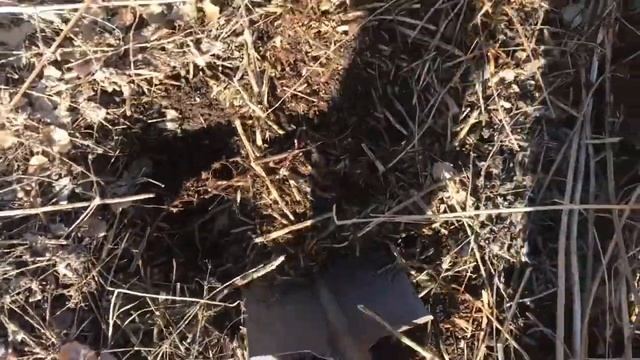 Металлоискатель мд 4030 первый коп . металлоискатель md 4030 смотреть онлайн