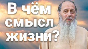 В чём смысл жизни?