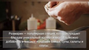 Розмарин: какая польза для организма? | С чем едят пряность? | Вред и польза, применение
