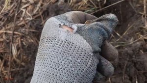 Приехали на урочище за монетами, копаю с Garrett ACE Apex