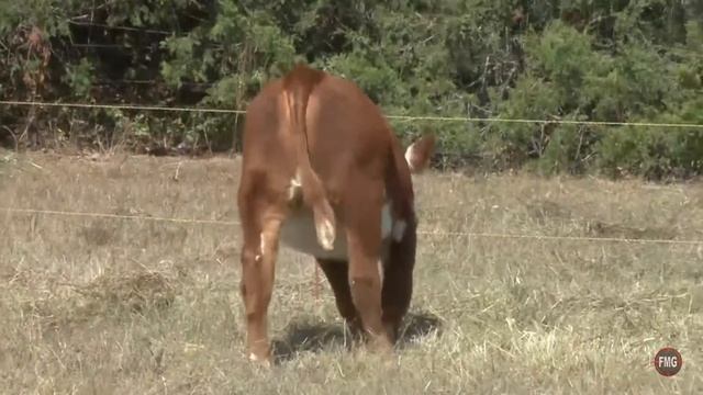 Primetime Tag Kyla смотреть онлайн