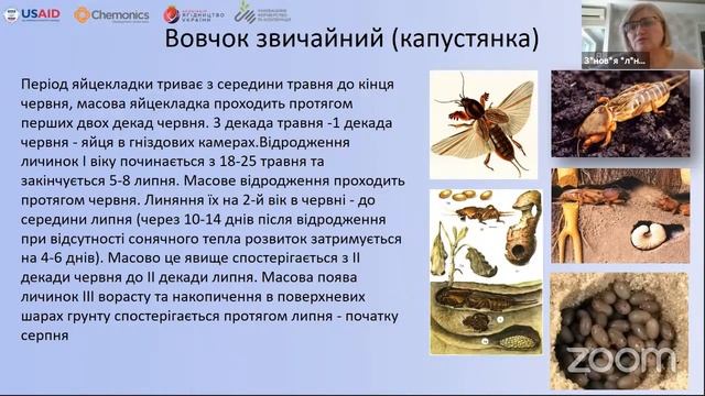 Шкідники картоплі та коренеплодів. Система інтегрованого захисту смотреть онлайн