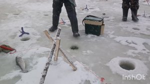 Ловим форель