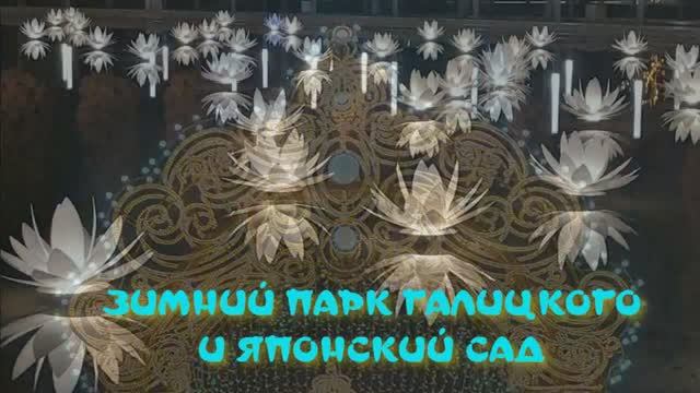 ЯПОНСКИЙ САД ЗИМОЙ  2024