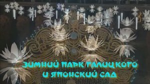 ЯПОНСКИЙ САД ЗИМОЙ 2024