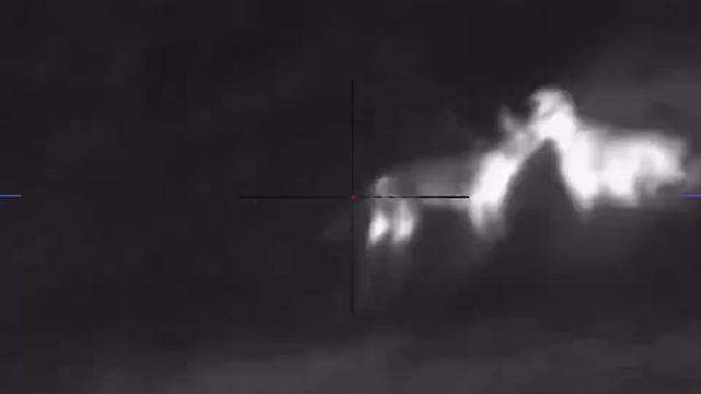 Killing A Coyote At Night With A Pulsar Thermal