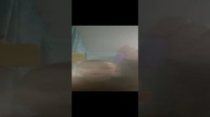 VID_20241214_072904.mp4