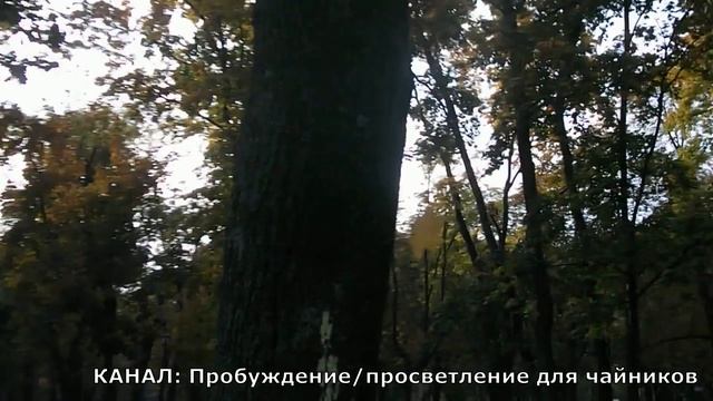 5-я часть: ПРОБУЖДЕНИЕ/ПРОСВЕТЛЕНИЕ Личный опыт-мучения трансформации смотреть онлайн