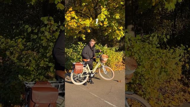 Обзор электровелосипеда Elbike Monro Vip #elbike #formand #электровелосипед смотреть онлайн