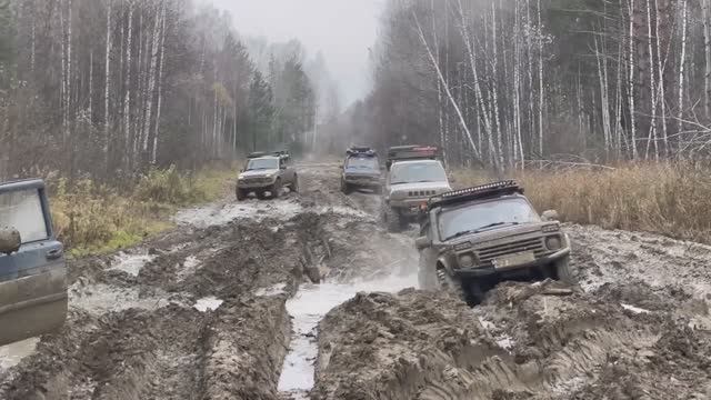 Экспедиция. Лесовозные дороги. Бездорожье. Офроуд.