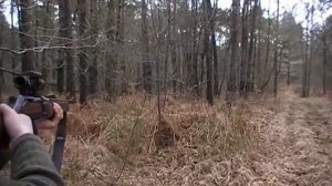 Охота на кабана  Топ 10 выcтpeлoв