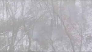 На гранате прикреплена записка-Сдавайтесь_ Надо ж было быстро читать