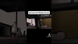 Дигорский Мадагаскар