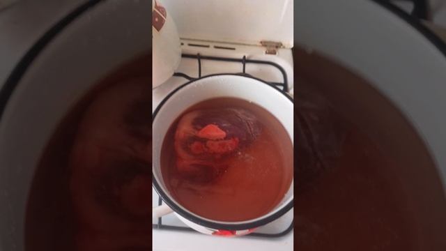 анатомия свиного сердца