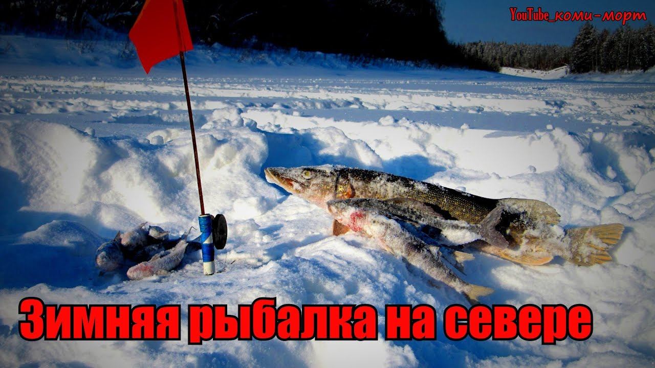 Зимняя рыбалка на севере. Рыбалка на жерлицы. смотреть онлайн