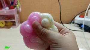 новые СКВИШЫ 🐆