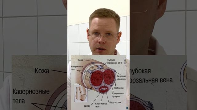 Раннее семяизвержение – Тактика